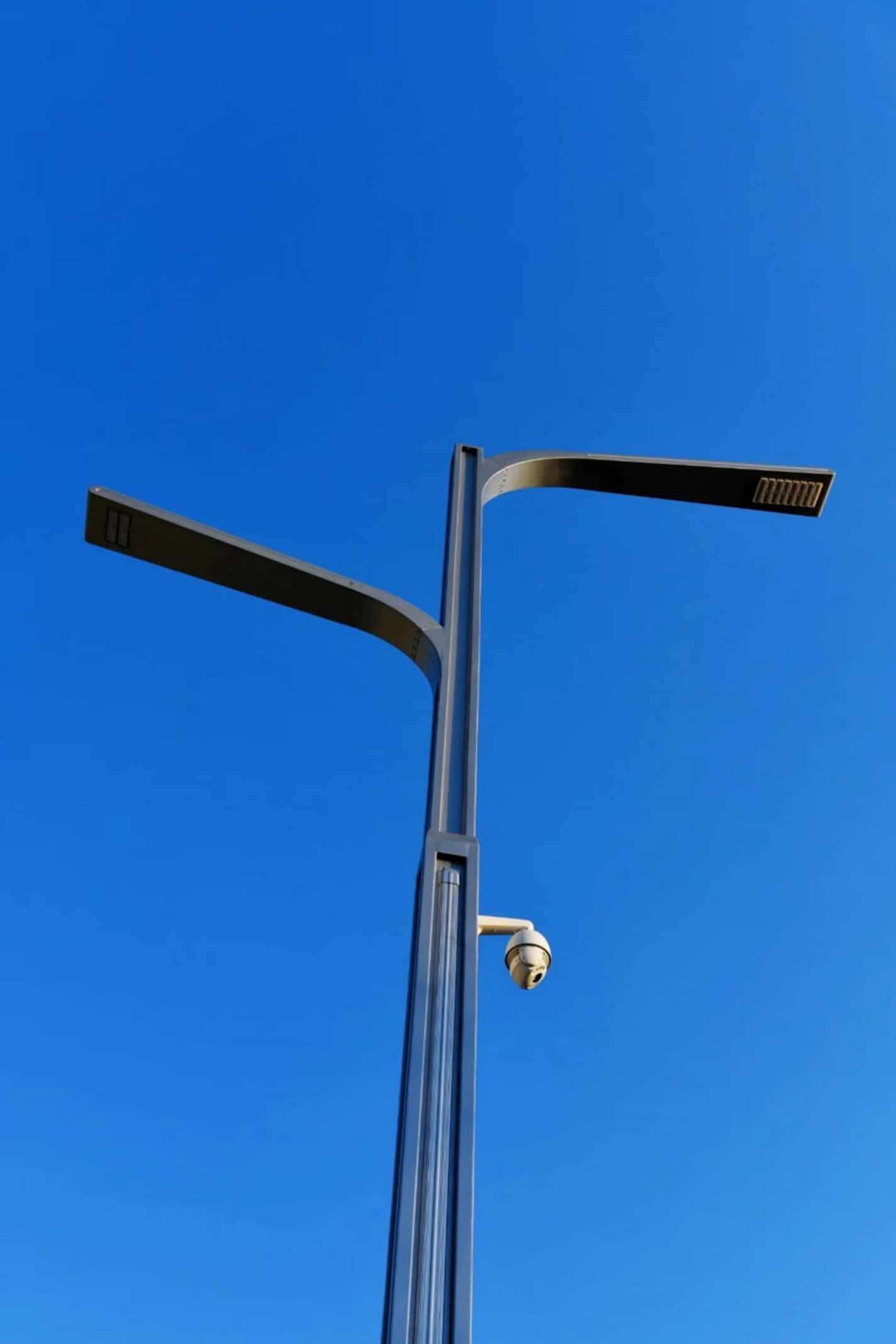876484624.jpg