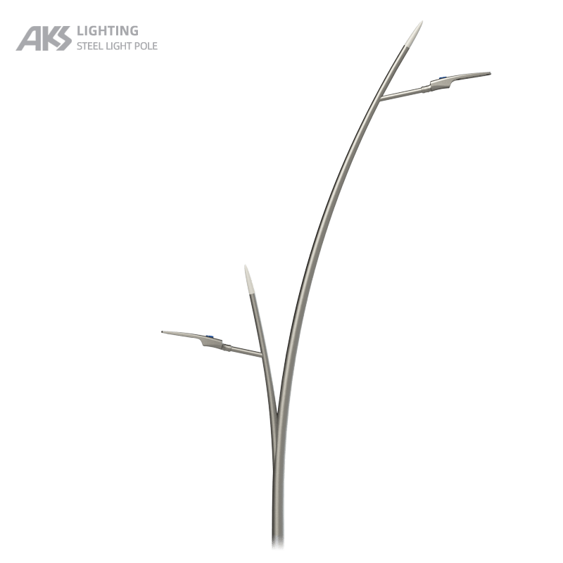 10m double arm street light