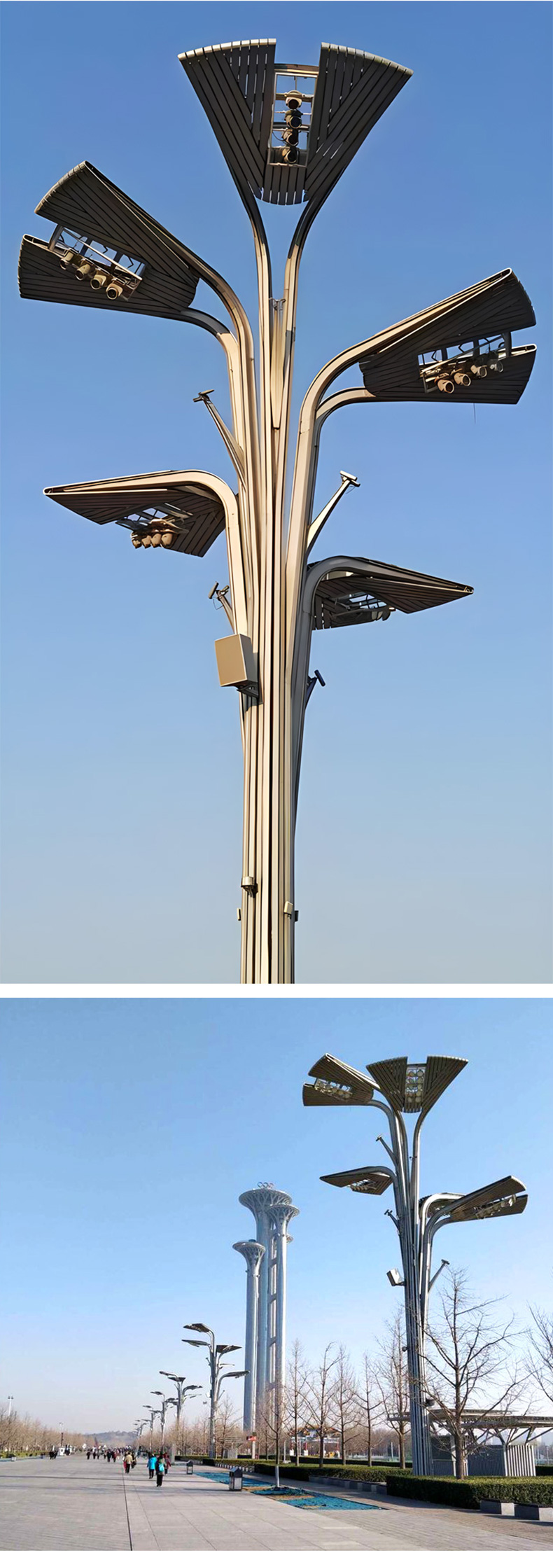 006.jpg