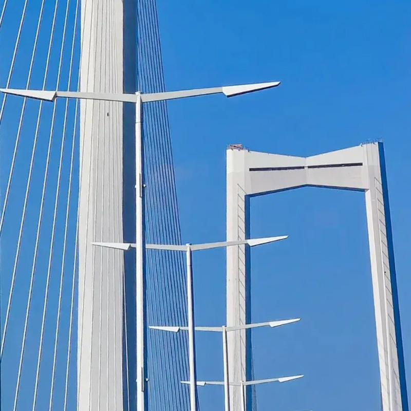  Shenzhen-Zhongshan Link Street Lights