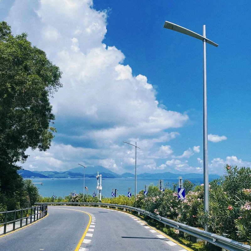 Shenzhen Coastal Highway Project